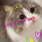 ヒメ日記 2026/03/07 21:28 投稿 りあん 国分寺人妻研究会