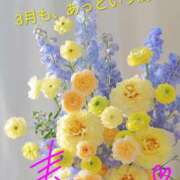 ヒメ日記 2026/03/10 22:09 投稿 りあん 国分寺人妻研究会