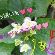 ヒメ日記 2026/03/13 15:48 投稿 りあん 国分寺人妻研究会