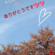 ヒメ日記 2026/03/14 21:06 投稿 りあん 国分寺人妻研究会