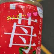 ヒメ日記 2026/03/25 07:43 投稿 りあん 国分寺人妻研究会