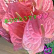 ヒメ日記 2026/03/29 20:04 投稿 りあん 国分寺人妻研究会