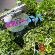 ヒメ日記 2026/03/31 12:59 投稿 りあん 国分寺人妻研究会