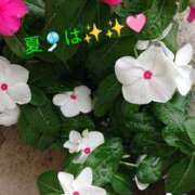 ヒメ日記 2026/04/01 12:11 投稿 りあん 国分寺人妻研究会