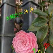 ヒメ日記 2026/04/05 12:17 投稿 りあん 国分寺人妻研究会