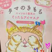 ヒメ日記 2026/04/07 13:32 投稿 りあん 国分寺人妻研究会