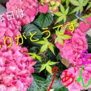 ヒメ日記 2026/04/08 17:09 投稿 りあん 国分寺人妻研究会