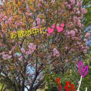 ヒメ日記 2026/04/12 10:18 投稿 りあん 国分寺人妻研究会