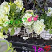 ヒメ日記 2026/04/18 19:59 投稿 りあん 国分寺人妻研究会