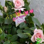 ヒメ日記 2026/04/27 09:39 投稿 りあん 国分寺人妻研究会