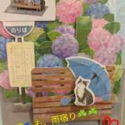 ヒメ日記 2026/05/14 15:22 投稿 りあん 国分寺人妻研究会