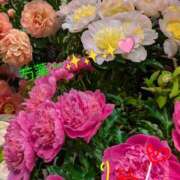 ヒメ日記 2026/05/19 11:30 投稿 りあん 国分寺人妻研究会