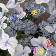 ヒメ日記 2026/05/22 10:23 投稿 りあん 国分寺人妻研究会