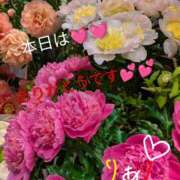ヒメ日記 2026/05/26 19:41 投稿 りあん 国分寺人妻研究会