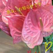 ヒメ日記 2026/05/27 12:13 投稿 りあん 国分寺人妻研究会