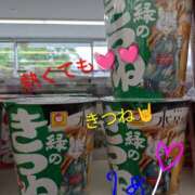 ヒメ日記 2026/05/28 19:30 投稿 りあん 国分寺人妻研究会