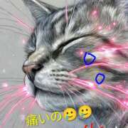 ヒメ日記 2026/06/06 14:05 投稿 りあん 国分寺人妻研究会