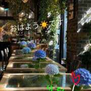 ヒメ日記 2026/06/08 06:23 投稿 りあん 国分寺人妻研究会