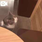 ヒメ日記 2024/12/07 00:17 投稿 心花(ここな) グランドオペラ福岡