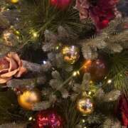 ヒメ日記 2024/12/08 22:24 投稿 心花(ここな) グランドオペラ福岡