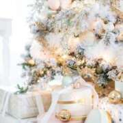 ヒメ日記 2024/12/11 19:46 投稿 心花(ここな) グランドオペラ福岡