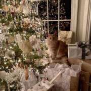 ヒメ日記 2024/12/13 18:30 投稿 心花(ここな) グランドオペラ福岡