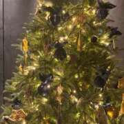 ヒメ日記 2024/12/13 22:54 投稿 心花(ここな) グランドオペラ福岡