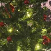 ヒメ日記 2024/12/18 21:51 投稿 心花(ここな) グランドオペラ福岡