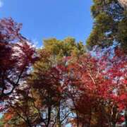 ヒメ日記 2024/12/19 20:05 投稿 心花(ここな) グランドオペラ福岡