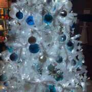 ヒメ日記 2024/12/20 23:21 投稿 心花(ここな) グランドオペラ福岡