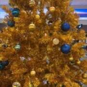 ヒメ日記 2024/12/25 21:02 投稿 心花(ここな) グランドオペラ福岡