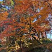 ヒメ日記 2024/12/28 10:21 投稿 心花(ここな) グランドオペラ福岡