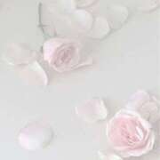 ヒメ日記 2024/12/28 18:10 投稿 心花(ここな) グランドオペラ福岡