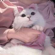 ヒメ日記 2025/01/05 00:51 投稿 心花(ここな) グランドオペラ福岡