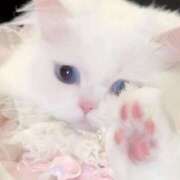 ヒメ日記 2025/01/05 11:04 投稿 心花(ここな) グランドオペラ福岡