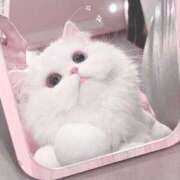 ヒメ日記 2025/01/05 23:08 投稿 心花(ここな) グランドオペラ福岡