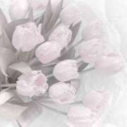 ヒメ日記 2025/01/07 16:41 投稿 心花(ここな) グランドオペラ福岡