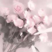 ヒメ日記 2025/01/20 10:51 投稿 心花(ここな) グランドオペラ福岡