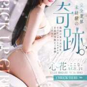 ヒメ日記 2025/01/26 10:28 投稿 心花(ここな) グランドオペラ福岡