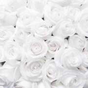 ヒメ日記 2025/02/10 08:55 投稿 心花(ここな) グランドオペラ福岡