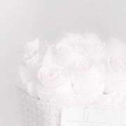 ヒメ日記 2025/02/15 12:51 投稿 心花(ここな) グランドオペラ福岡