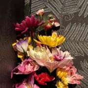 ヒメ日記 2025/02/21 23:13 投稿 心花(ここな) グランドオペラ福岡