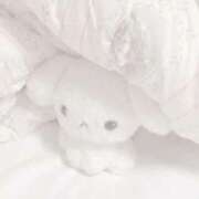 ヒメ日記 2025/02/25 22:51 投稿 心花(ここな) グランドオペラ福岡