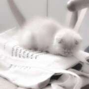 ヒメ日記 2025/02/26 00:16 投稿 心花(ここな) グランドオペラ福岡