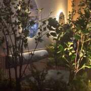 ヒメ日記 2025/03/12 11:57 投稿 心花(ここな) グランドオペラ福岡