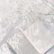 ヒメ日記 2025/03/14 10:51 投稿 心花(ここな) グランドオペラ福岡