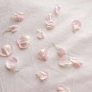 ヒメ日記 2025/03/25 00:11 投稿 心花(ここな) グランドオペラ福岡