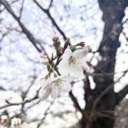 ヒメ日記 2025/03/25 20:05 投稿 心花(ここな) グランドオペラ福岡