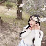 ヒメ日記 2025/03/25 22:48 投稿 心花(ここな) グランドオペラ福岡