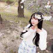 ヒメ日記 2025/03/27 09:21 投稿 心花(ここな) グランドオペラ福岡